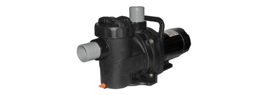 Picture of Speck Badu Pro 2.7 HP VS Pump | IG385-V270T-TUS