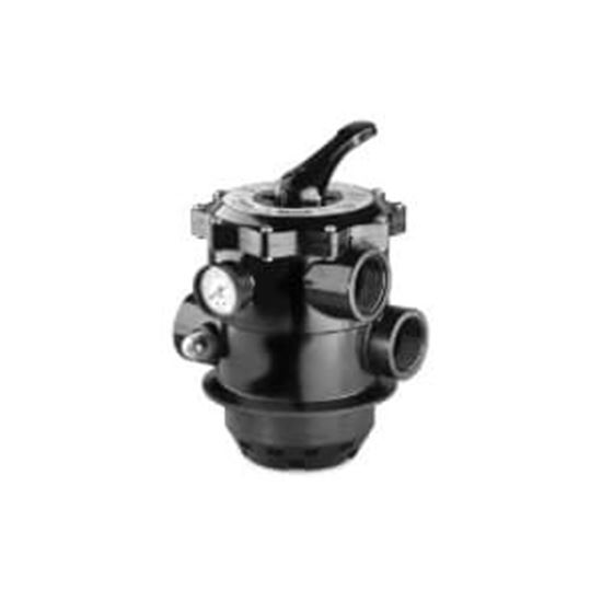 Picture of Pentair Tagelus 2 6-Way Clamp Style Valve Sand Filter | 261185