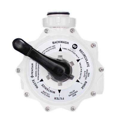 Picture of Pentair DE Multiport Valve, 2 Side Mount | 261152