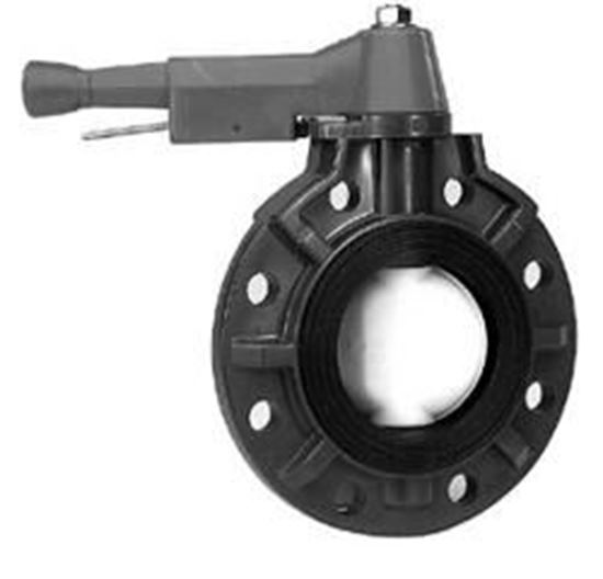 Picture of 2-1/2 In.  Butterfly Valve | 0250BFPX0EEWML