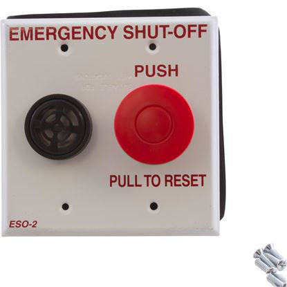 Picture of Shut Off Switch, Pentair, Compool, With Alarm Eso2