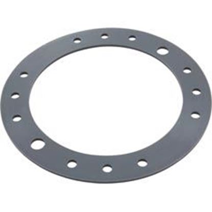 Picture of Gasket Speck Badu Stream Ii Jet For Clamping Ring 2308750005 