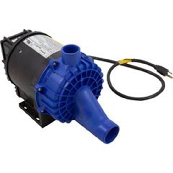 Picture of Pump Syllent 0.75 Horsepower 115v Nema Plug MB42E0231ASUL1