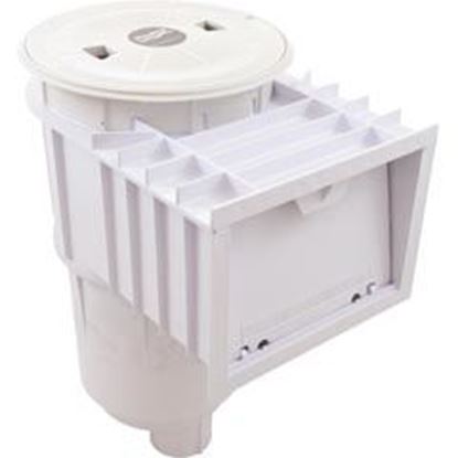 Picture of Skimmer Complete U-3 Sta-Rite W/Float & Check Valve 2" NPT 08650-1403