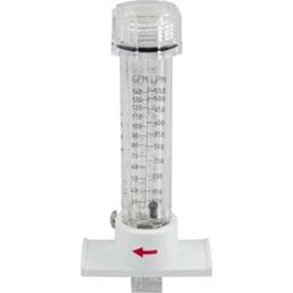 Picture of Flow Meter Pulsafeeder 2" 30-140 gpm U8800440