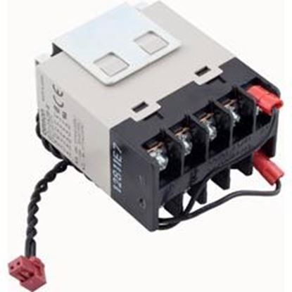 Picture of Relay Pentair EasyTouch IntelliTouchSunTouch3hpDPST-NO 520198