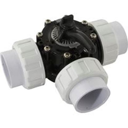 Picture of Diverter Valve CMP Hydroseal 2"Union 3 Port 25923-204-000