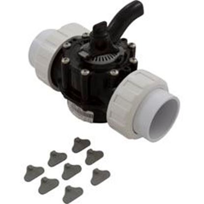 Picture of Diverter Valve 2In Unions 2-Way Black 25922-204-000