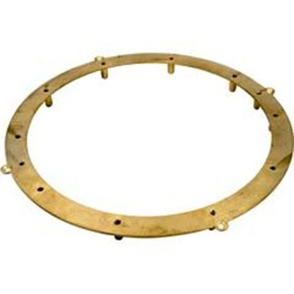 Picture of Light Niche Back Up Ring Pentair Amerlite 10-hole Vinyl 634595