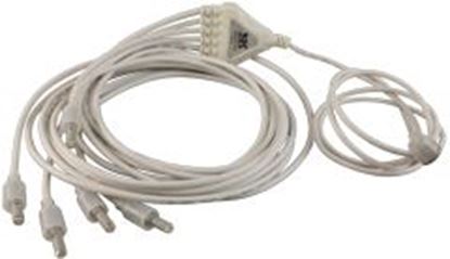 Picture of Replacement Bulb RD 2-Wire Mini POL Six-Way LED 67"1C6 1MINI0-RD1C6