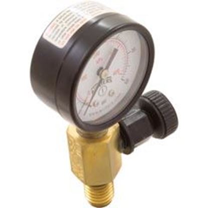 Picture of Pressure Gauge/Air Release Assy Jandy CV SeriesBM Generic V55-110