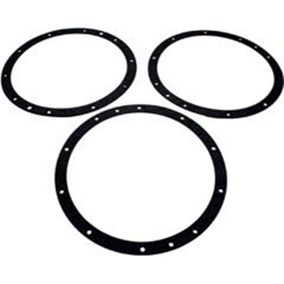 Picture of Niche Gskt KitPent Amerlite10-HoleVinylw/o Dbl Wall Gskt 79200400