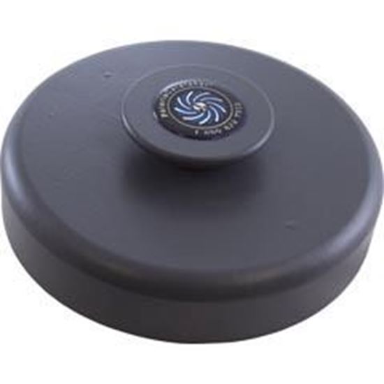 Picture of Zodiac Threaded Cleaning Head Charcoal Gray 3-9-513