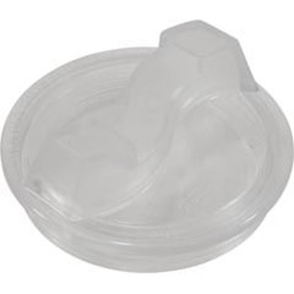 Picture of Trap Lid Val-Pak Generic Sta-Rite Maxi/Dura-Glas 6" Trap V26-363