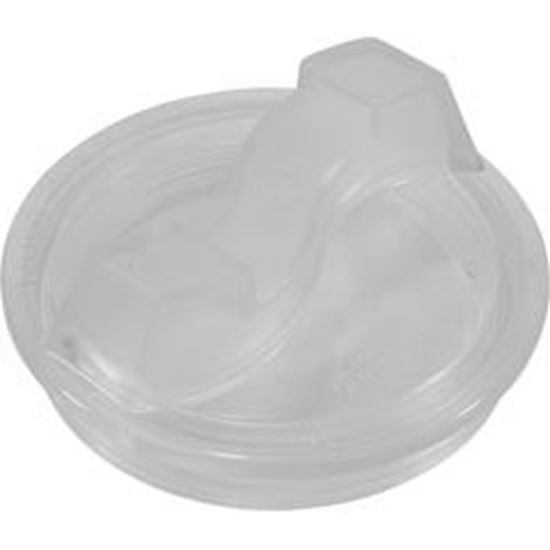 Picture of Trap Lid Val-Pak Generic Sta-Rite Maxi/Dura-Glas 6" Trap V26-363