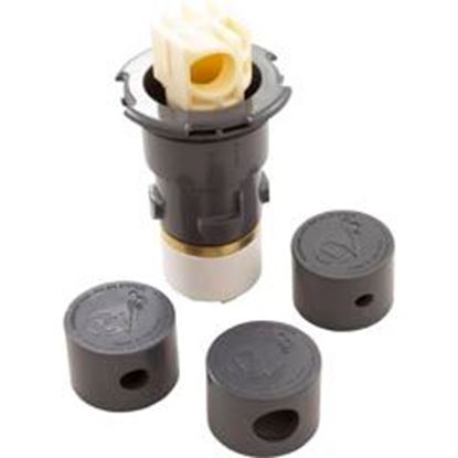 Picture of Cleaning Head Paramount PV3 w/Caps Gray 004-627-5060-02