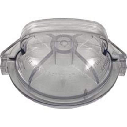 Picture of Trap Lid Pentair PacFab Dynamo 354531