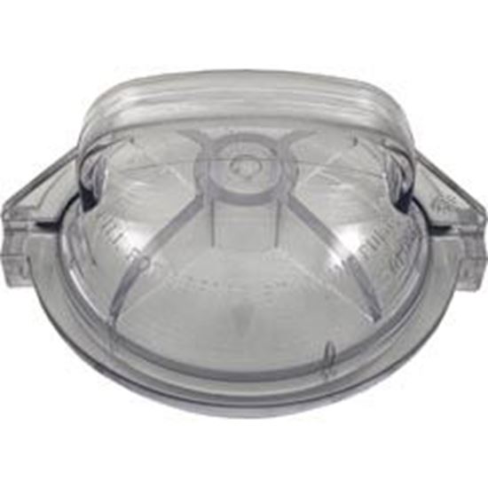 Picture of Trap Lid Pentair PacFab Dynamo 354531