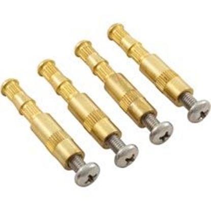 Picture of Main Drain Brass Insert Aquastar with Screw Quantity 4 BIK4