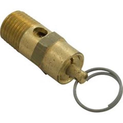 Picture of Pressure Relief Valve Pentair EQ Series 1/4"mpt 350087Z