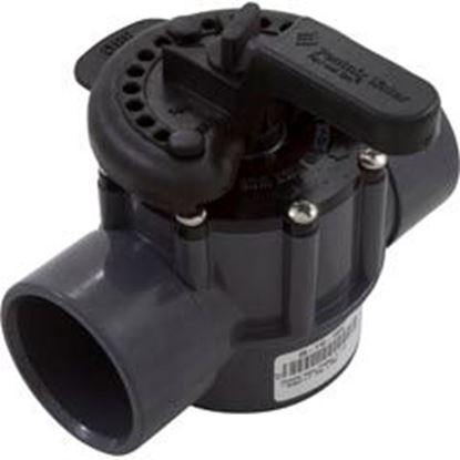 Picture of Diverter Valve Pentair 2-1/2" Spigot x 2" Slip 2 Way 263029