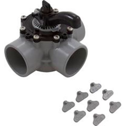 Picture of Diverter Valve 2In S X 2.5In Sp 3-Way Gray 25933-201-000