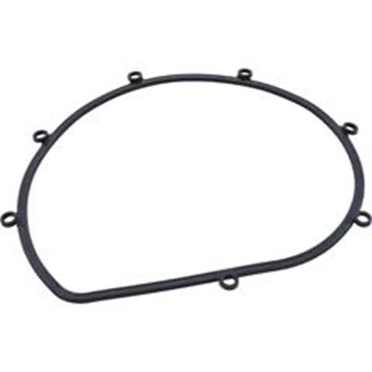 Picture of Gasket Speck 21-80 All Models Seal Plate 2923141010