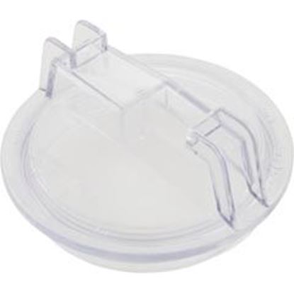 Picture of Trap Lid Sta-Rite DuraGlas 5" Trap Generic 25304-000-020