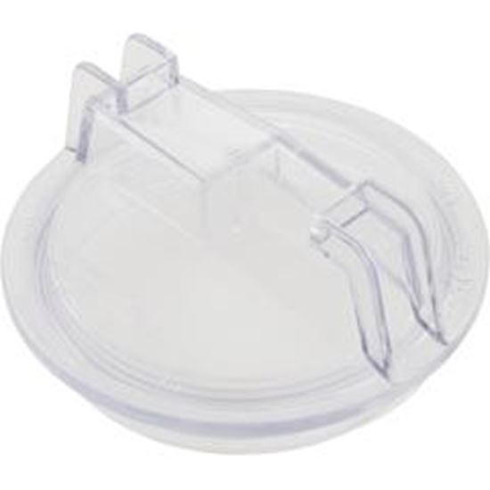 Picture of Trap Lid Sta-Rite DuraGlas 5" Trap Generic 25304-000-020