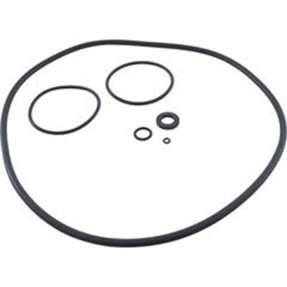 Picture of O-Ring Kit Zodiac Jandy CS Series R0466300