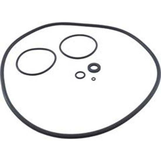 Picture of O-Ring Kit Zodiac Jandy CS Series R0466300