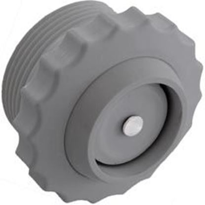 Picture of Check Valve Spring Return Line 1-1/2"mpt Dark Gray Spa V20-341