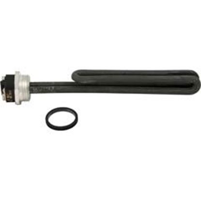 Picture of Screwplug Element1"thd1.5/5.5kWC-Spa XL/Coates115v/230v 31521800012