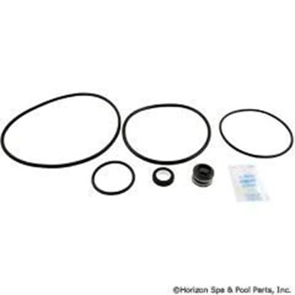 Picture of Go-Kit 47 Sta-Rite Dynaglas and J Series Pumps GO-KIT 47