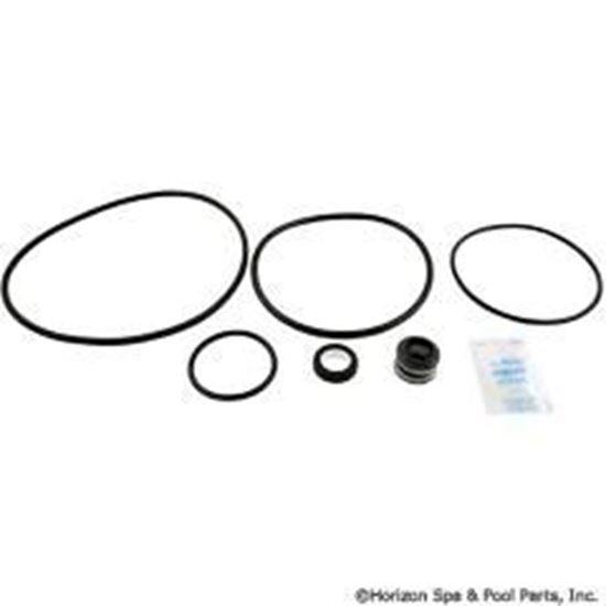 Picture of Go-Kit 47 Sta-Rite Dynaglas and J Series Pumps GO-KIT 47