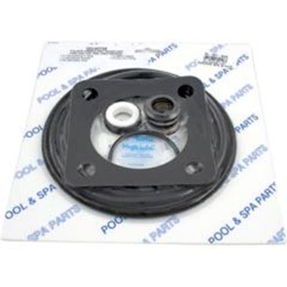 Picture of Go-Kit 54 Sta-Rite Dura Glas/Maxi Glas `98-Present GO-KIT 54