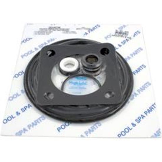 Picture of Go-Kit 54 Sta-Rite Dura Glas/Maxi Glas `98-Present GO-KIT 54