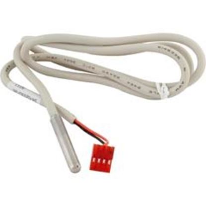 Picture of Sensor Temp Hydro-Quip 36" 1/4" Diameter 4-pin 34-0203D-36-K