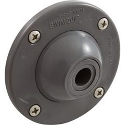 Picture of Eyeball Inlet Pentair 1-1/4" Gunite Gray 08428-0001B