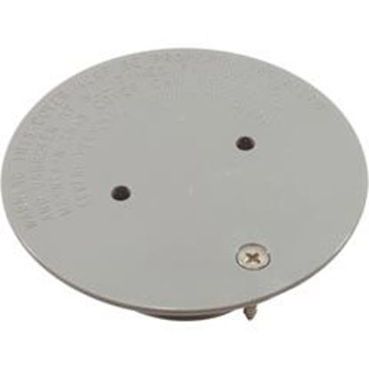 Picture of Floor Inlet Fitting Cover Wth Screw Gray 25527-101-100