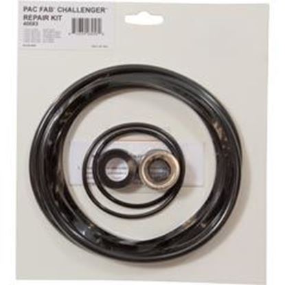 Picture of Pump O-Ring Kit Generic Challenger w/ Seal 90-538-2005