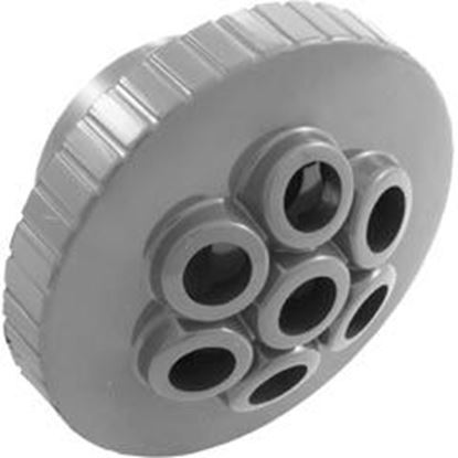 Picture of Massage Spa Jet Internal 1-1/2" Gray 23315-241-000