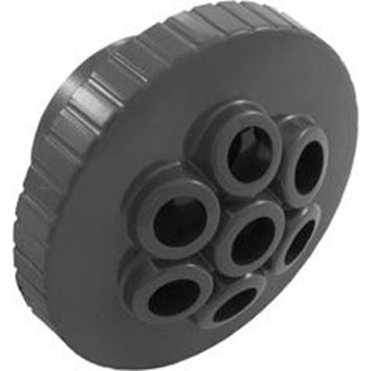 Picture of Massage Spa Jet Internal 1-1/2" Dk Gray 23315-247-000
