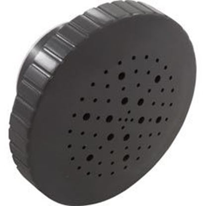 Picture of Rain Massage Spa Jet Internal 1-1/2"Dark Gray 23315-347-000