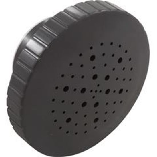 Picture of Rain Massage Spa Jet Internal 1-1/2"Dark Gray 23315-347-000