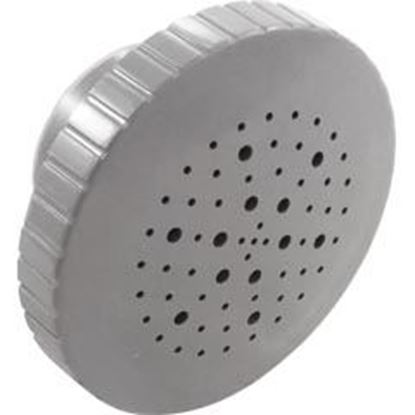 Picture of Rain Massage Spa Jet Internal 1-1/2" Gray 23315-341-000