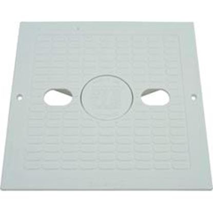 Picture of Skimmer Lid Waterway Renegade 10" x 10" Square 540-6490WW