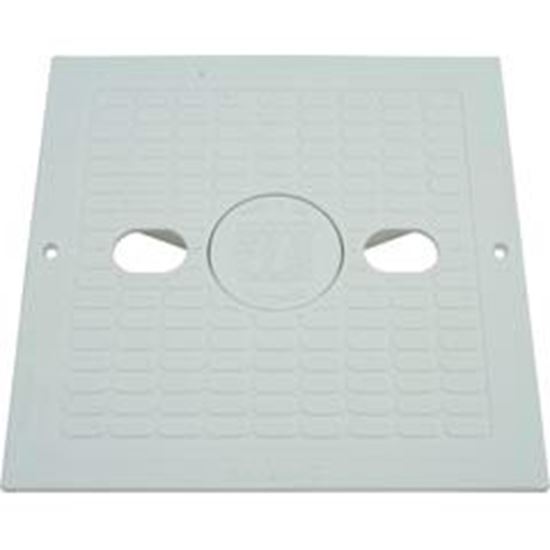 Picture of Skimmer Lid Waterway Renegade 10" x 10" Square 540-6490WW