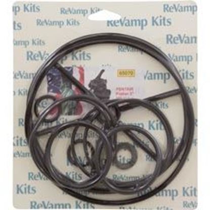 Picture of Valve Rebuild Kit 70 Pent/Praher 2" Multiport Valve 65070