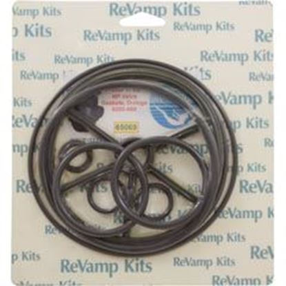Picture of Valve Rebuild Kit 69 Pent/Praher 1-1/2" Multiport Valve 65069
